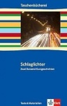 Schlaglichter - zwei Dutzend Kurzgeschichten 