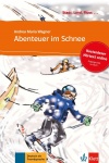 Abenteuer im Schnee, Buch + Online 