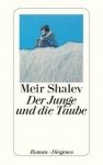 Der Junge und die Taube 