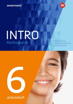 INTRO Mathematik SI Arbeitsheft 6 