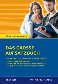 Das grosse Aufsatzbuch 10.-13.Kl. 