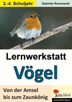 Lernwerkstatt - Vögel Von der Amsel bis zum Zaunkönig 