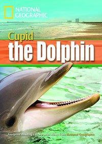 Cupid the Dolphin + Multi-ROM 