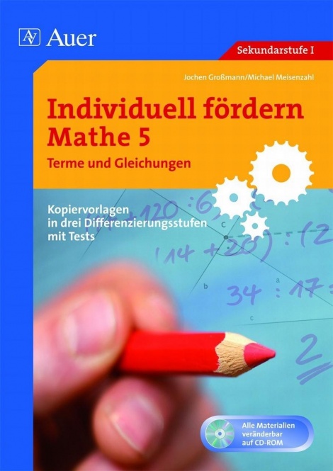 Individuell fördern Mathe 5, Terme und Gleichungen 