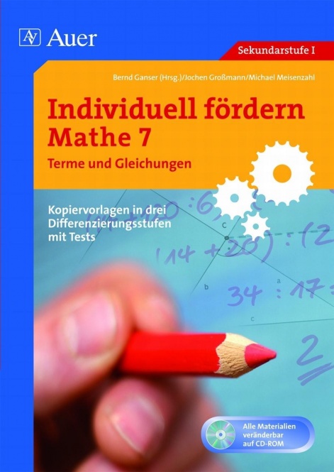 Individuell fördern Mathe 7 Terme und Gleichungen 