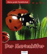 Der Marienkäfer 