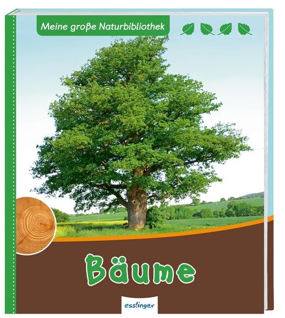 Bäume 