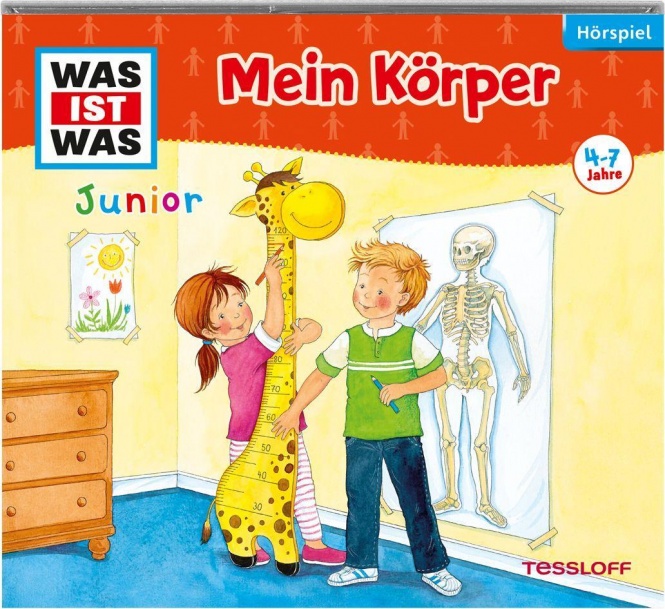 Körper 